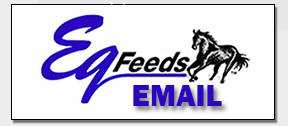 Email Eq Feeds